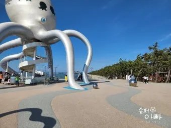 무안 가볼만한곳 베스트10 현지인 추천 필수코스_21