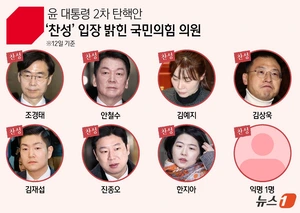 2차 탄핵 소추안 표결