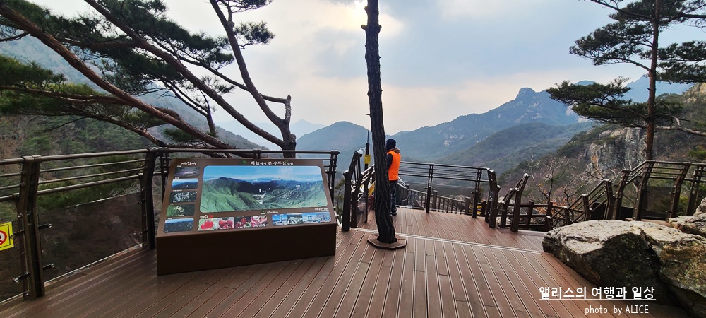 거창 Y 자형 출렁다리 (입장권 현장구매가능) 경남 가볼만한곳