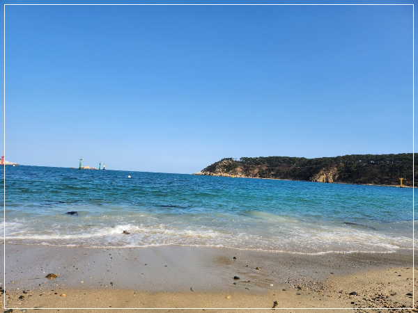 울산 가족여행 아이 놀거리와 고래 탐방 후기 (장생포)