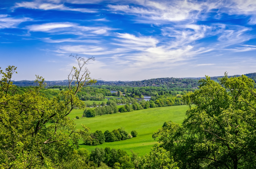 개발 vs 보존: 경제 성장과 자연 보호의 균형점 찾기