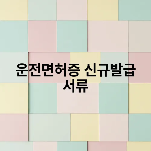 운전면허증 신규발급 서류