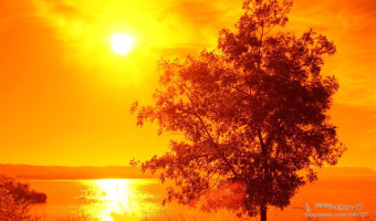 대성셀틱 보일러 as 바로가기