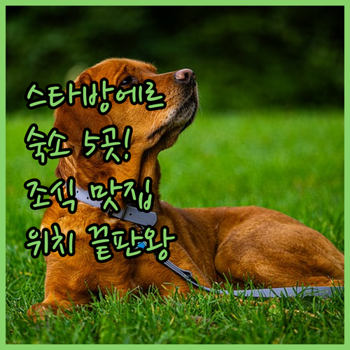 노르웨이 스타방에르 호텔 추천 조식 ..