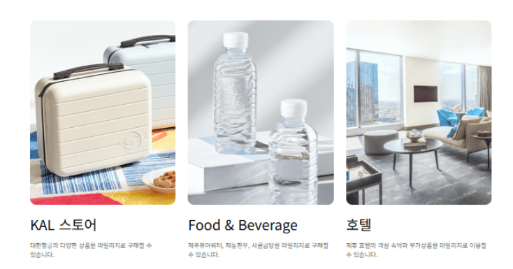 대한항공 마일리지 사용처_1