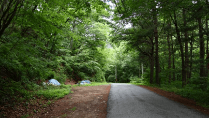 2026학년도 수능 성적표 확인 방법