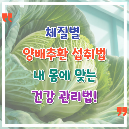 체질별-양배추환-섭취법-내-몸에-맞는-건강-관리법