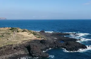 제주 렌트카 비교사이트 돌하루팡