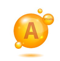 비타민 A