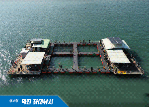 바다좌대낚시터