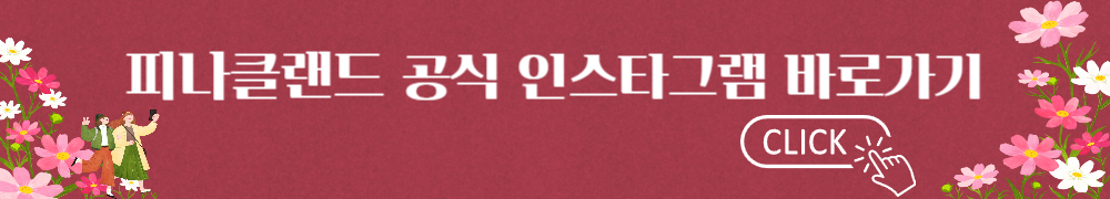 피나클랜드 삼천송이 국화축제