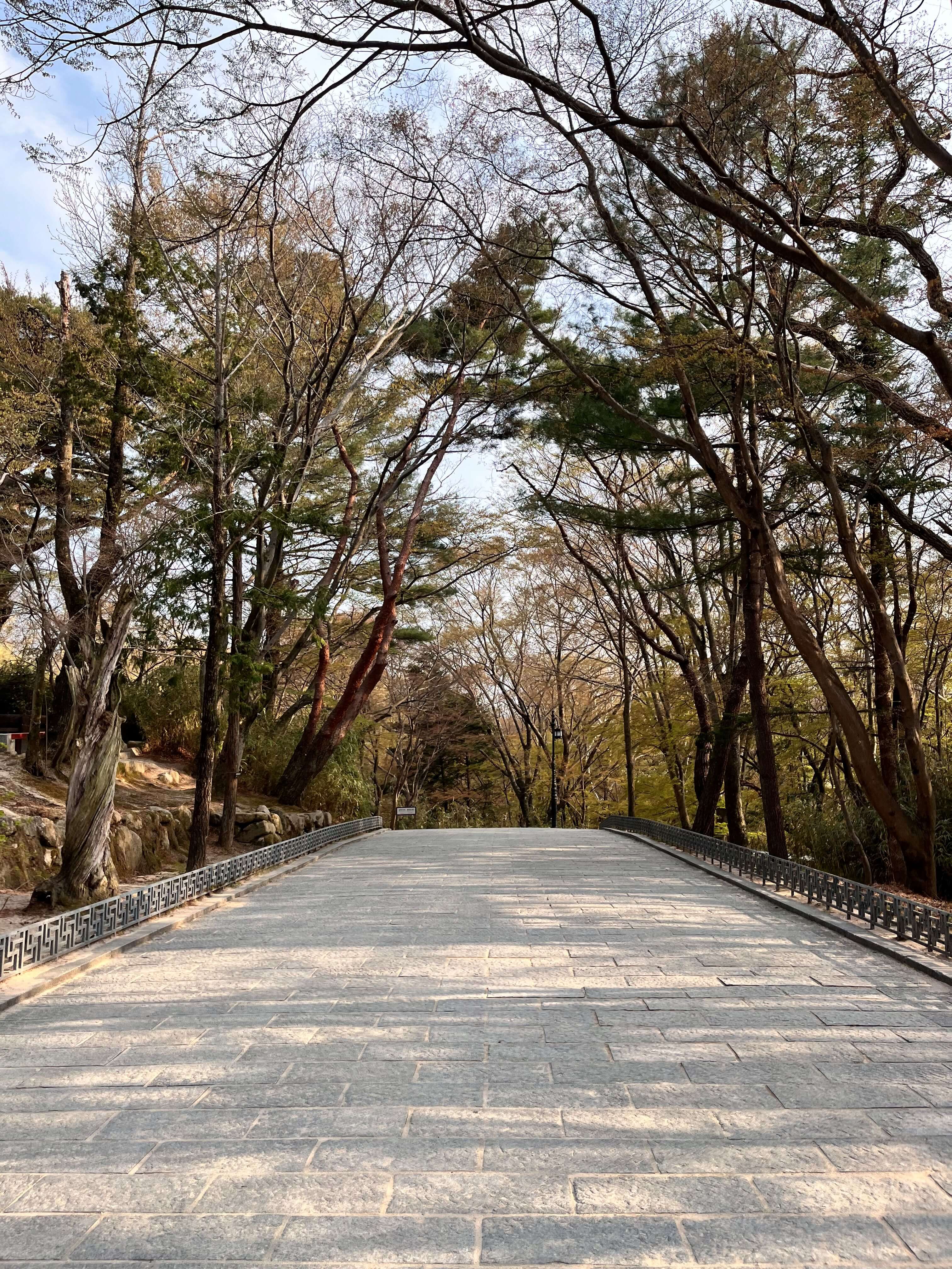 불국사 주차장가는길