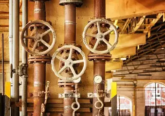 50대자격증추천