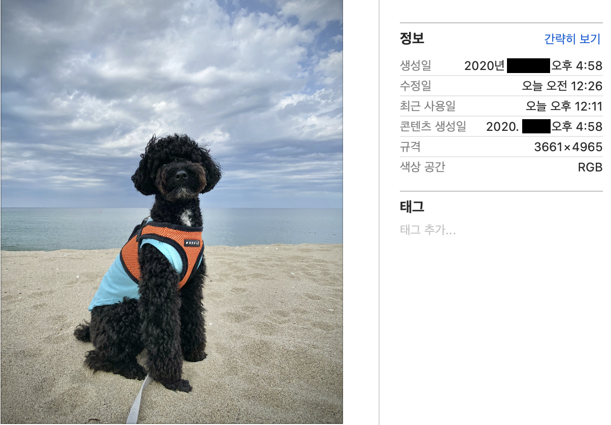 Exif 제거 후 사진