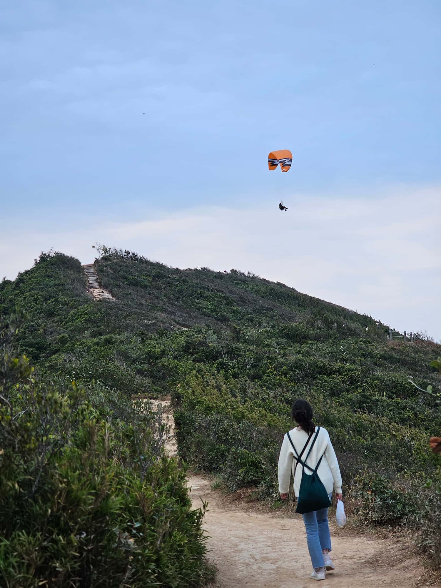 드래곤즈 백 후기