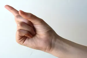 손