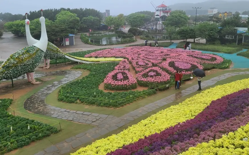 태안 튤립축제 일정, 개화시기