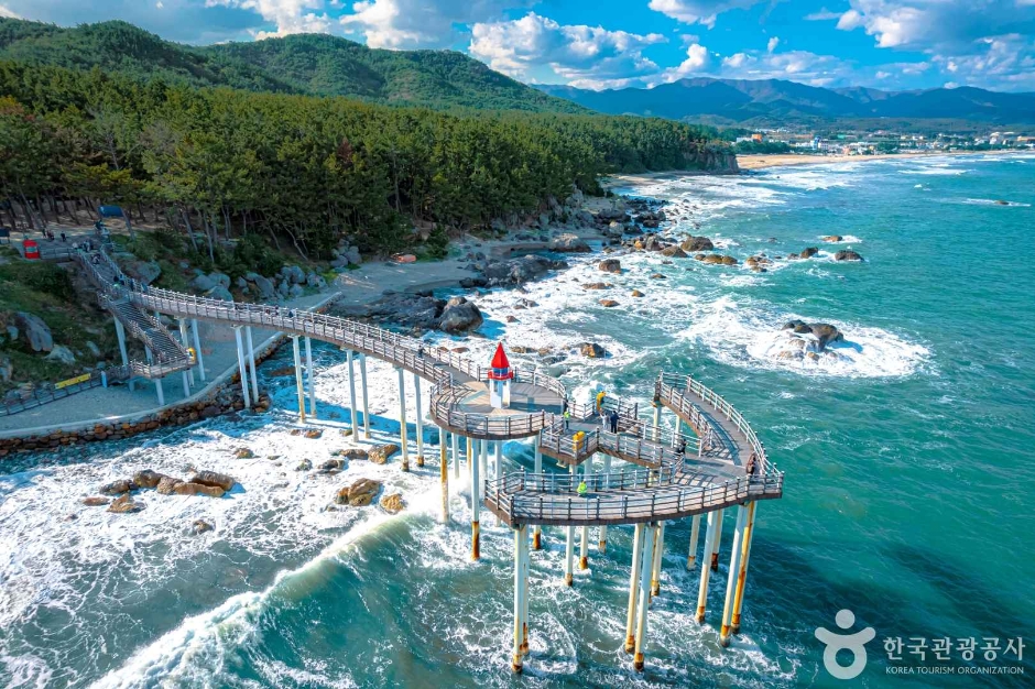 포항 가볼만한곳 베스트 10