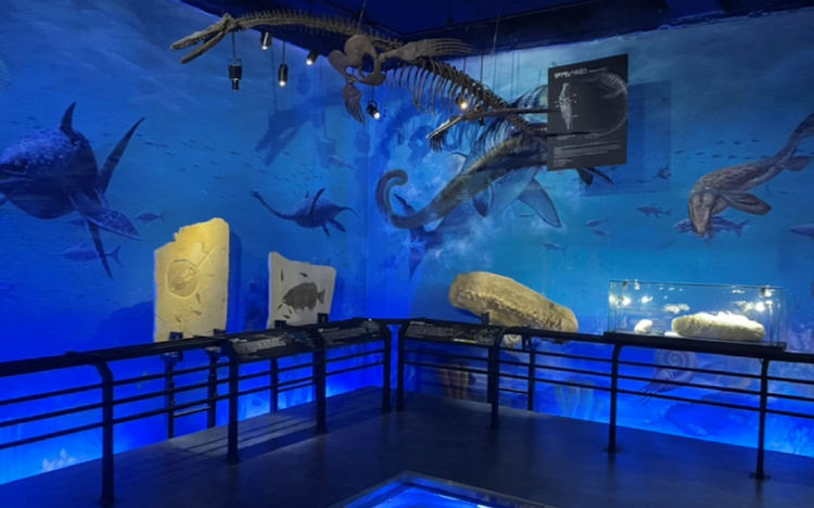 우석헌 자연사박물관