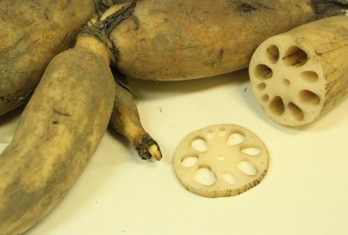 빈혈 어지럼증에 좋은 음식 BEST4 ❘ 치매 예방 하세요