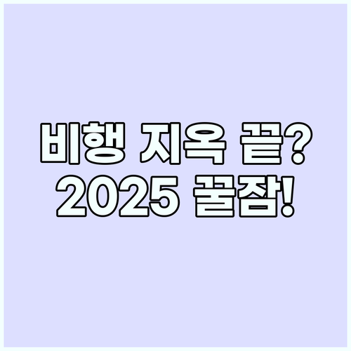 10시간 비행 고통 끝! 꿀잠 자는 ..