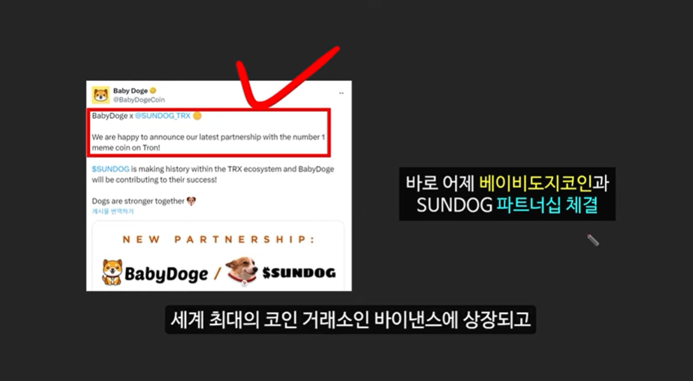 베이비 도지 코인의 급등 이유와 일론 머스크의 영향 ❘ 밈 코인 시장 전망