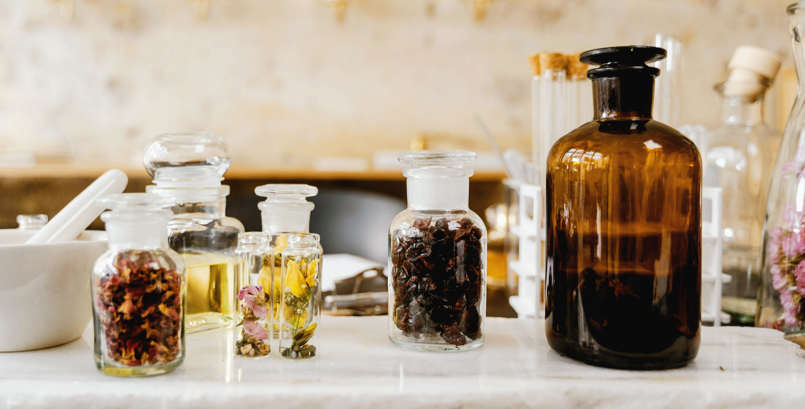 방향제·세제·페인트 등 냄새 변화로 인해 반려동물이 스트레스 받는 이유