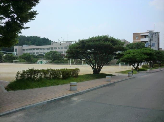 충북 청주 흉기난동 고교생 사건: 예상 처벌 수위와 적용 법률 분석