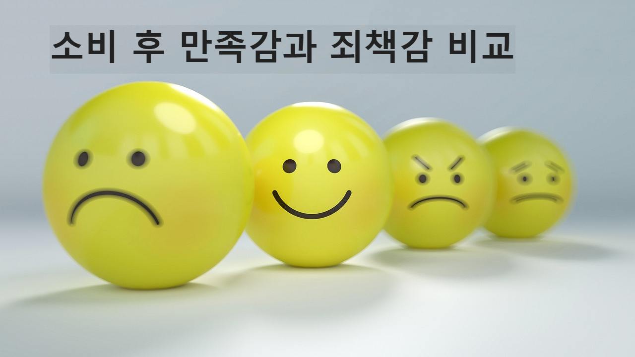 소비 후 감정표현