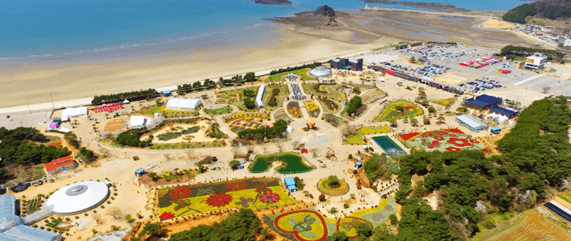 태안 튤립축제 기간 입장료 가는길