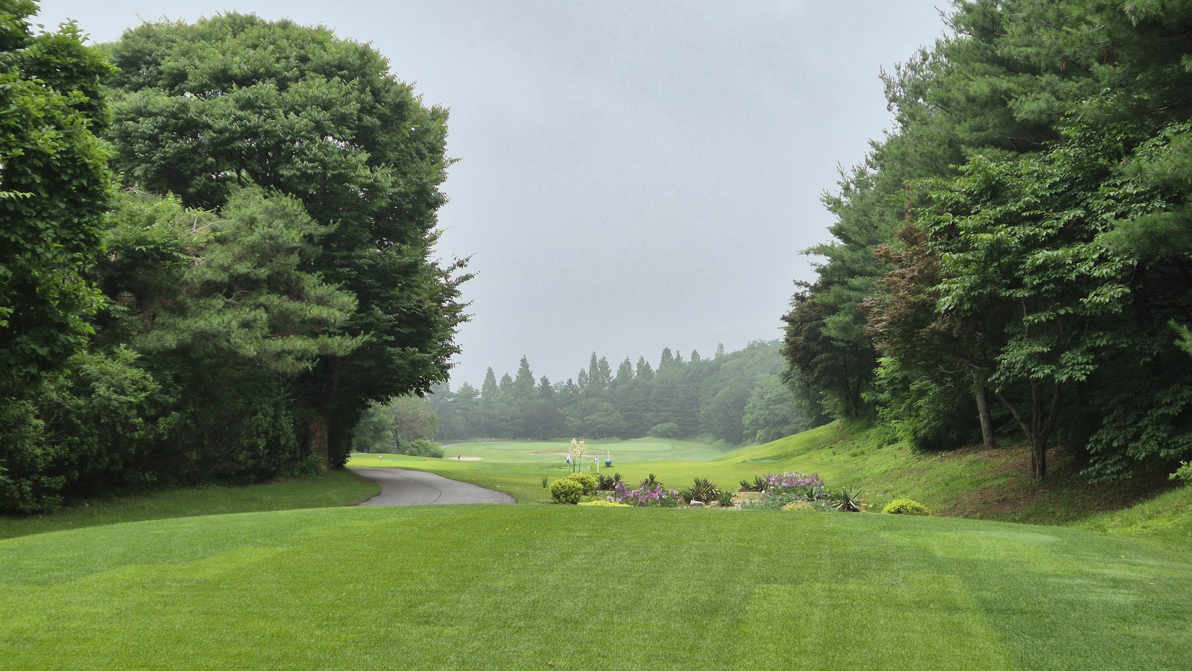 뉴스프링빌cc 공략 정보