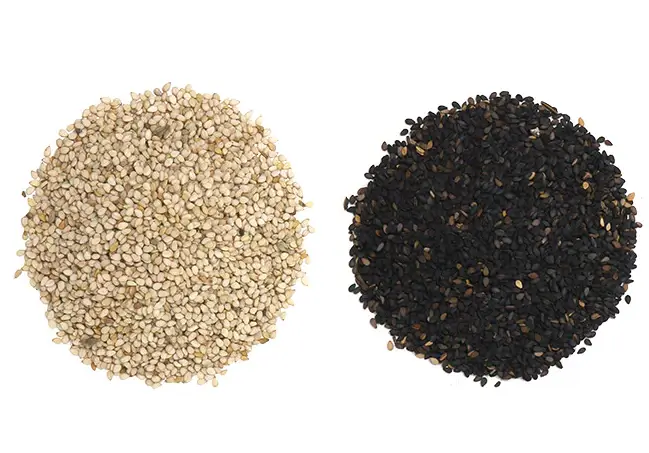흰참깨와-검은참깨