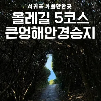 제주도 서귀포 남원 큰엉해안경승지 한반도 지형 포토존과 여행 꿀팁으로 정리_40