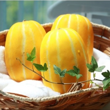 참외-순치기-방법