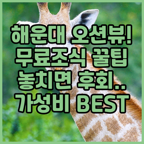 해운대 해변 근처 숙소 추천 오션뷰 ..