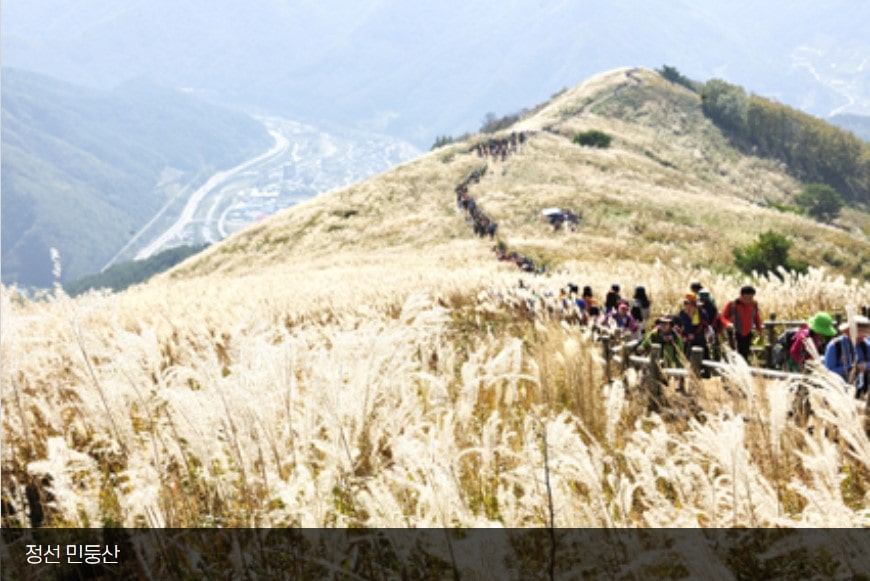 코레일 기차여행