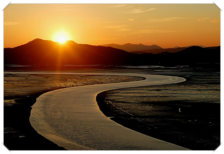 2024 순천만 갈대축제 입장료, 일정 및 프로그램 사전예약