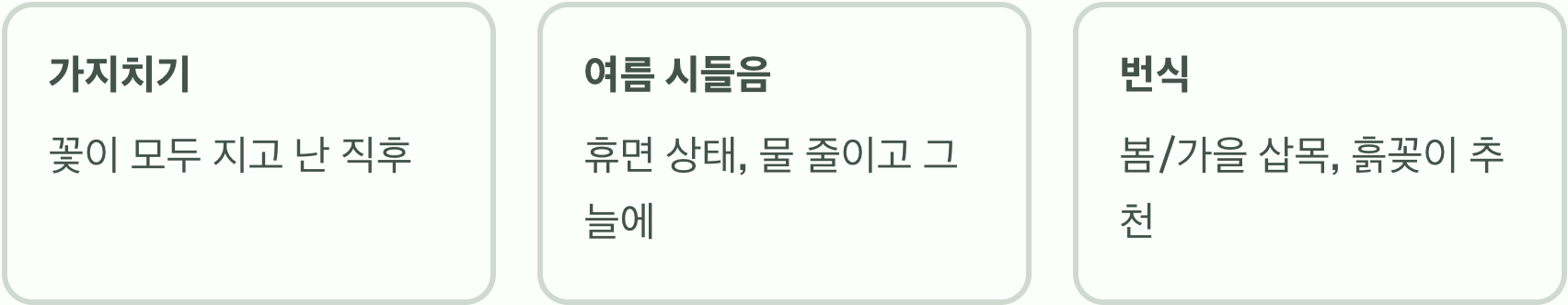 우리 집 리갈제라늄, 왜 잎만 무성하고 꽃이 안 필까요?