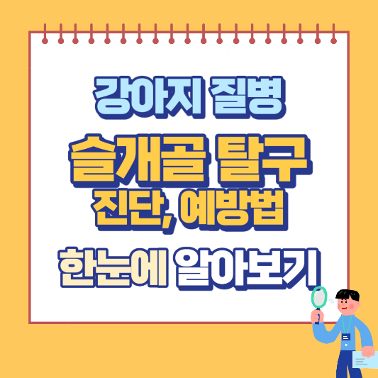 슬개골 탈구