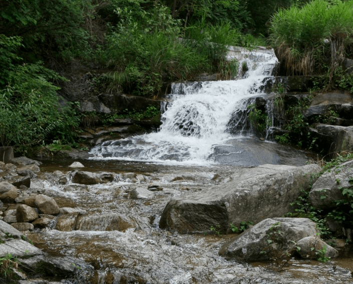 군위군 동산계곡