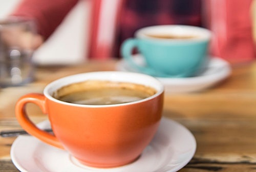 카페인 함량 비교