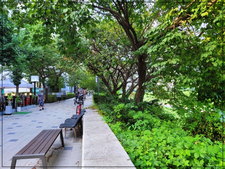 중랑천-산책-4