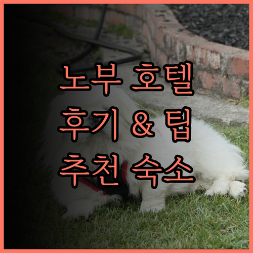 마닐라 노부 호텔, 완벽한 휴식을 위