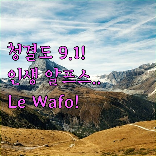 청결도 9.1점의 압도적 위엄 그리옹..