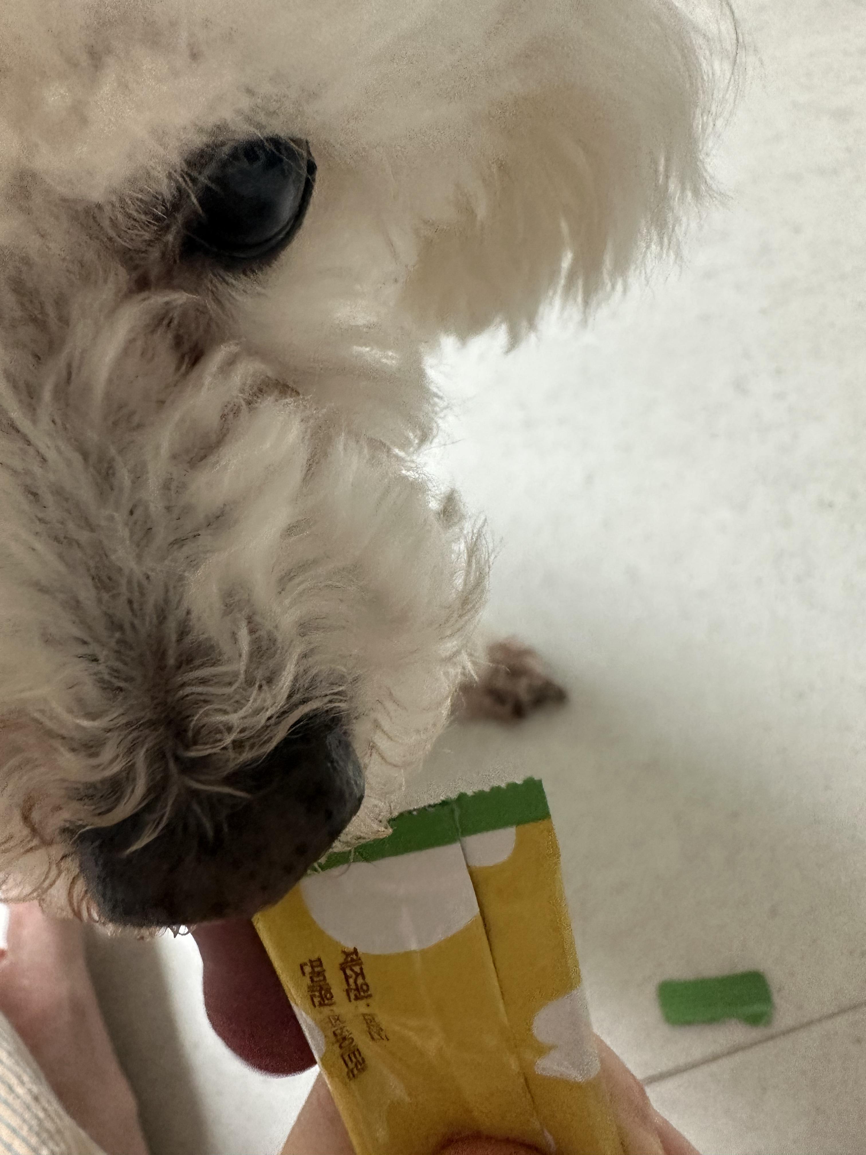 급여모습