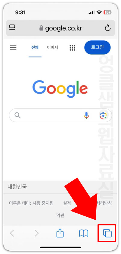 사파리 탭 버튼