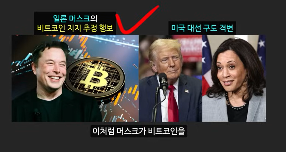 일론 머스크가 주목한 베이비 도지 코인, 급등 가능성은?