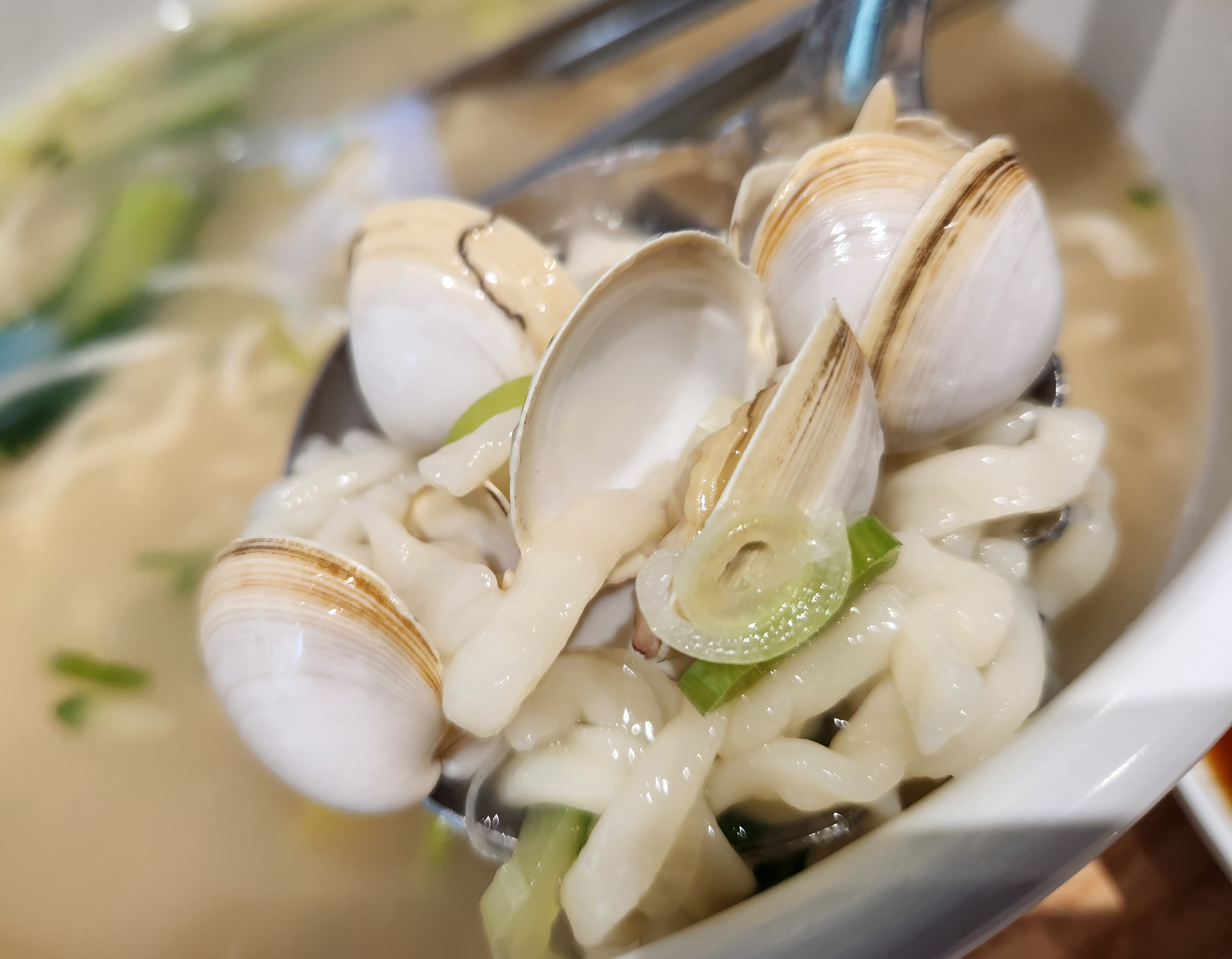 용인역북동맛집-대복칼국수-동죽칼국수-해감된동죽