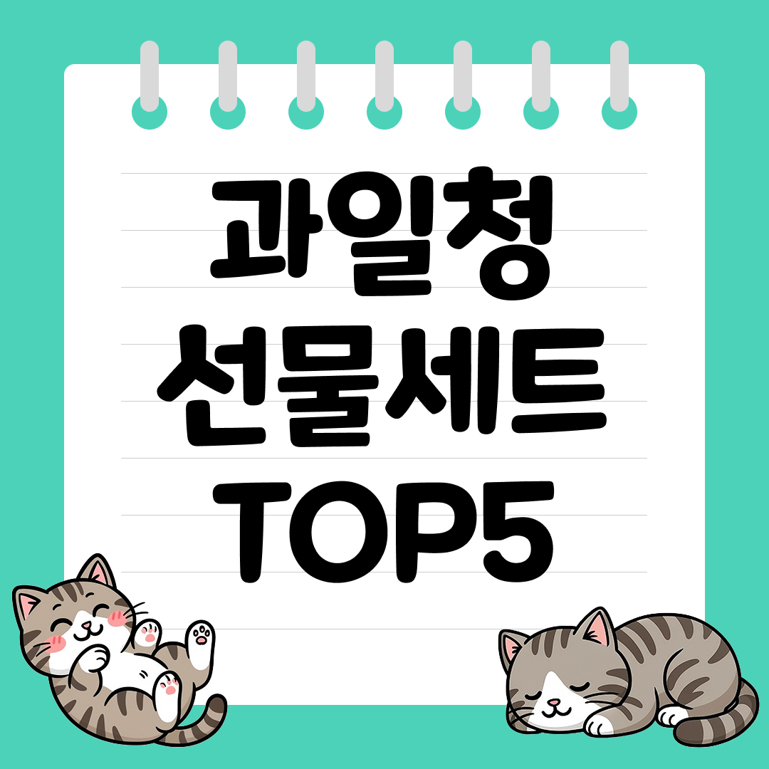 건강한 음료와 함께 마음을 전하는 과일청 선물세트 추천 순위 TOP5