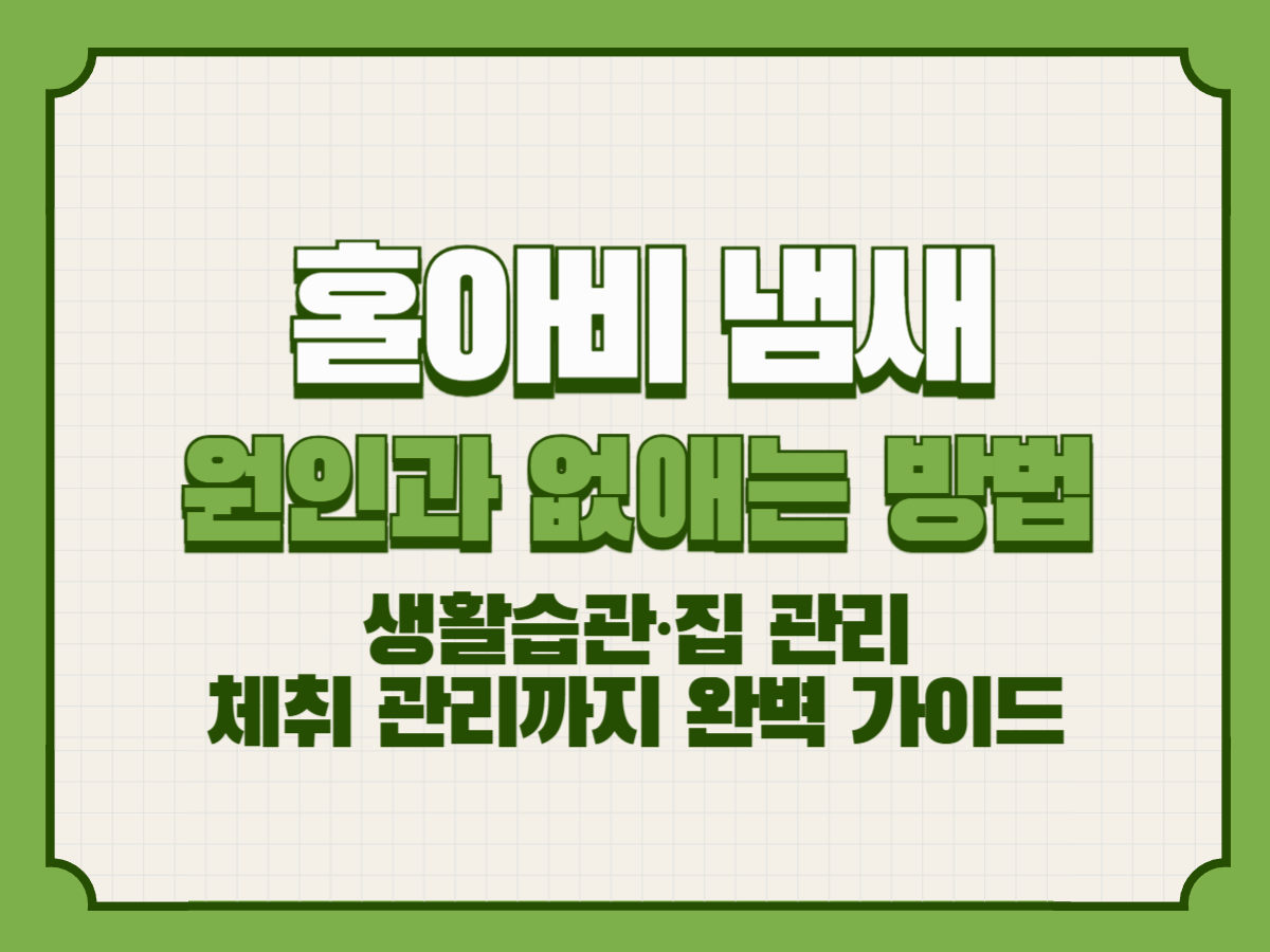 홀아비 냄새 원인과 없애는 방법|생활습관·집 관리·체취 관리까지 완벽 가이드